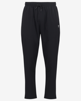 Ensemble Run